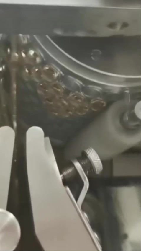 Softgel Section